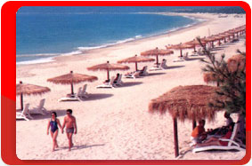 ,  ,  Gloria Resort 5*.  , .