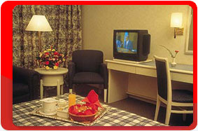 Китай, Пекин, отель Holiday Inn Downtown 4*
