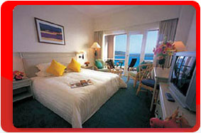 ,  ,  Holiday Inn 5*.  , .