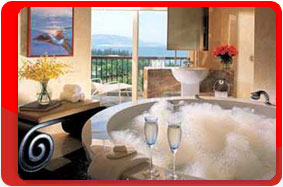 ,  ,  Sheraton 5*.  , .