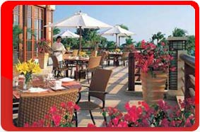,  ,  Sheraton 5*.  , .