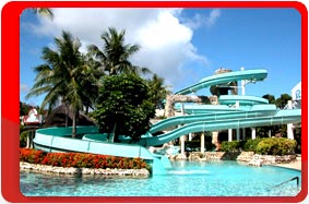  , Hotel Nikko Saipan 4*+   110 000 . .